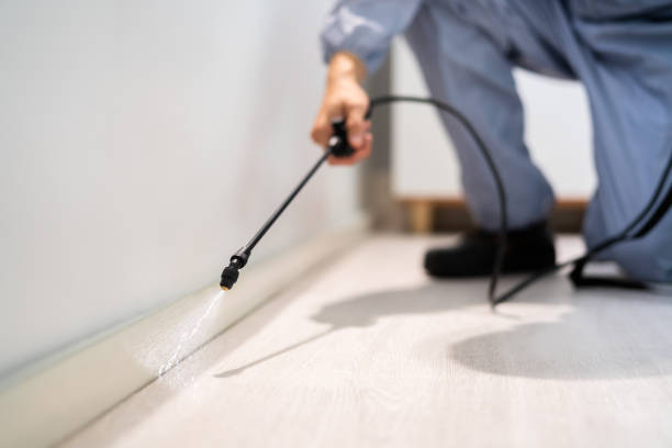 Bed Bug Pre-Treatment Preparation Assessment in Roselawn