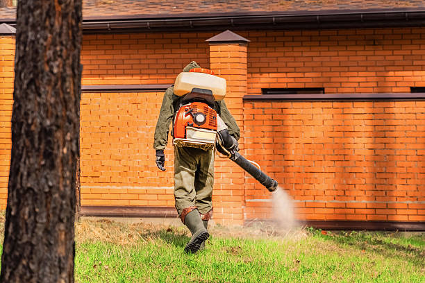 Bed Bug Clearance Verification and Documentation in Roselawn